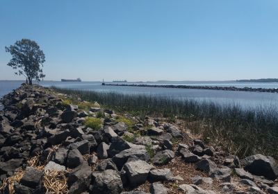 Muelle Antiguo y playa