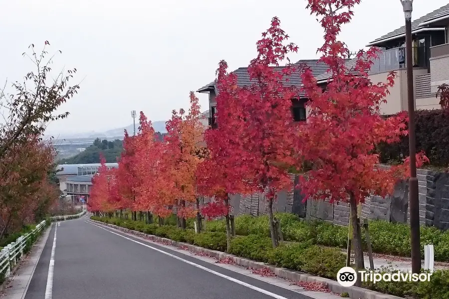 朝日町歴史博物館