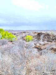 Santa Cruz Island