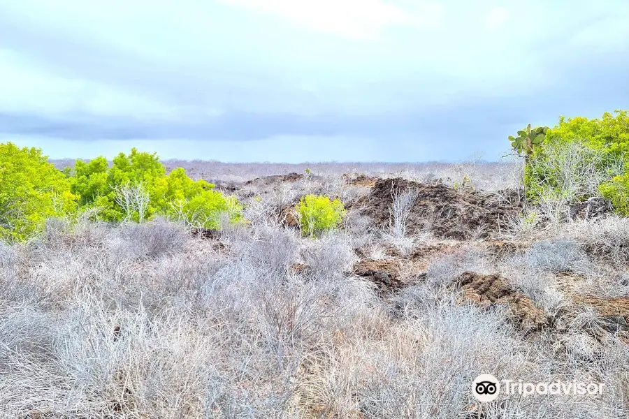 Santa Cruz Island