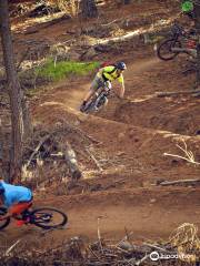 Majura Pines Mountain Bike Trails