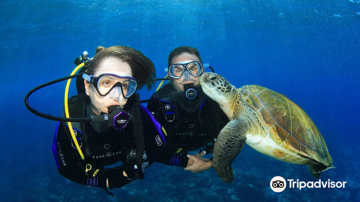 2_Sunrise Divers