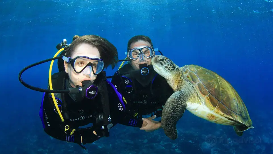 4_Sunrise Divers