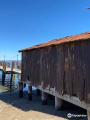 China Camp State Park