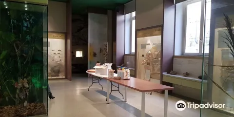 Teatro delle Scienze e Planetario