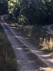 Nangur National Park