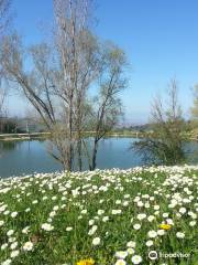 Lago di Monteleone