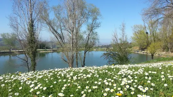 Lago di Monteleone