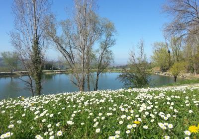 Lago di Monteleone