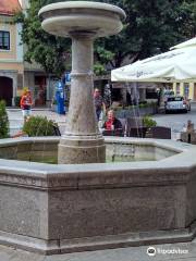 Kettejev vodnjak na trgu