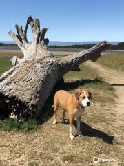 Whalen Island County Park