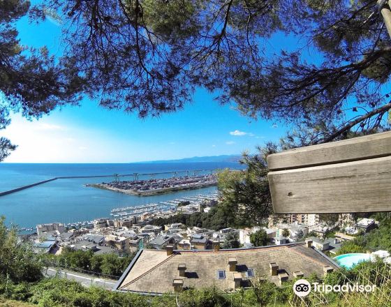 佩利 自由行套票