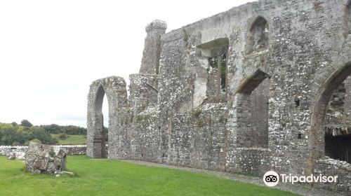 Bective Abbey