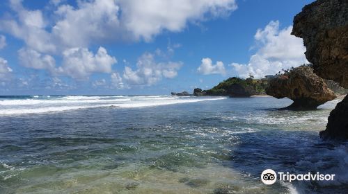 Bathsheba Beach