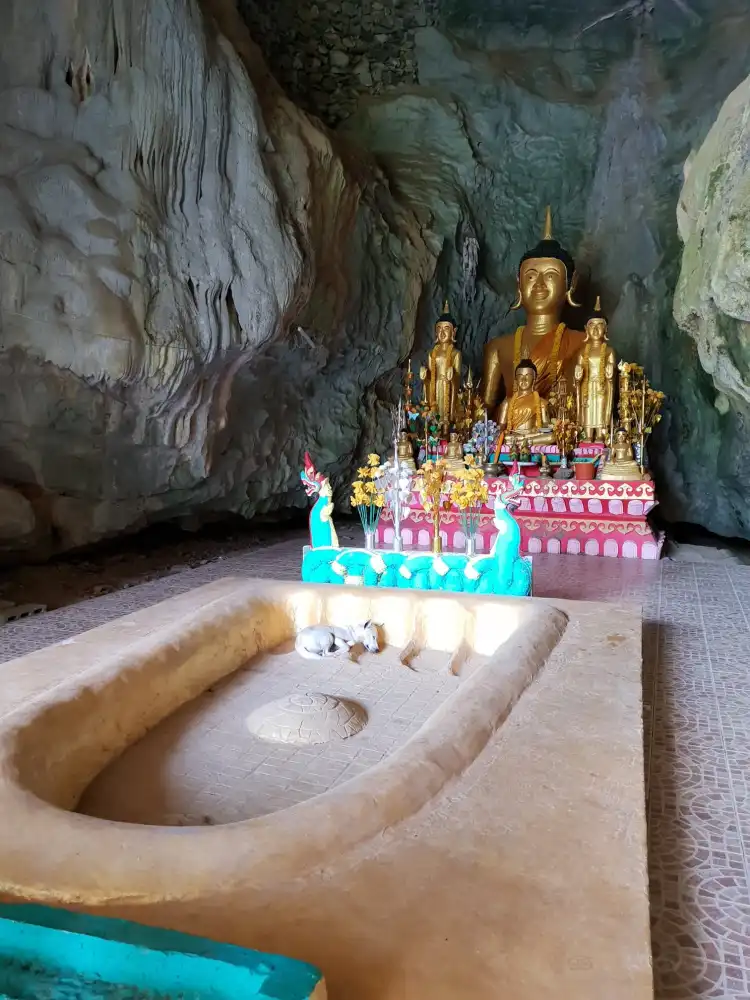 Hotels near Elephant Cave