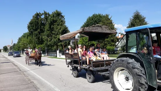 Fattoria Gelindo dei Magredi