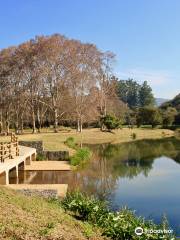 KZN National Botanical Garden (PMB)