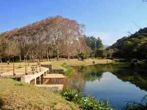 KZN National Botanical Garden (PMB)