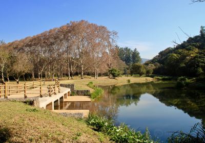 KZN National Botanical Garden (PMB)