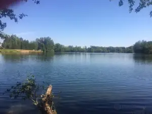 Irene Rinehart Riverfront Park