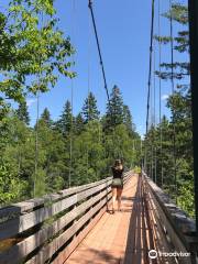 Tidnish Suspension Bridge