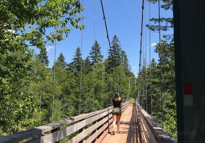 Tidnish Suspension Bridge