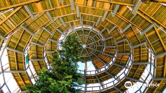 Baumwipfelpfad Bayerischer Wald