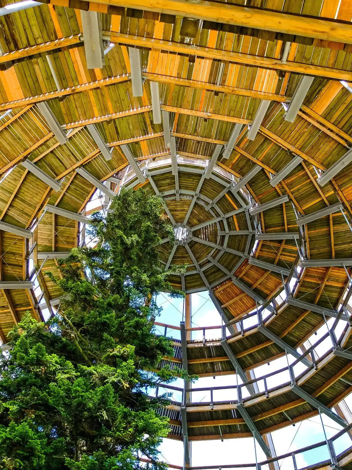 鄰近Baumwipfelpfad Bayerischer Wald的酒店