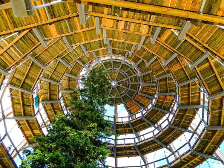 Hotels in Neuschonau