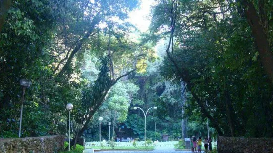 Gruta Nossa Senhora de Itauna