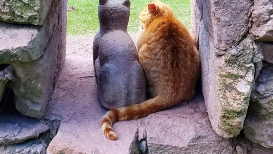 Santuario Animal de Cochahuasi