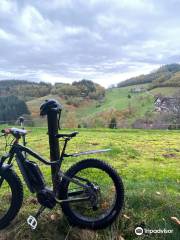 Fat Stevens Fatbike-Verleih