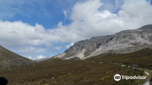 Kogelberg Nature Reserve