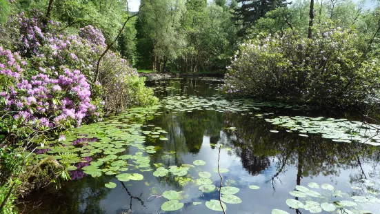 Glencoe Lochan