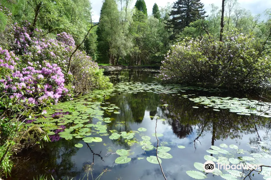 Glencoe Lochan