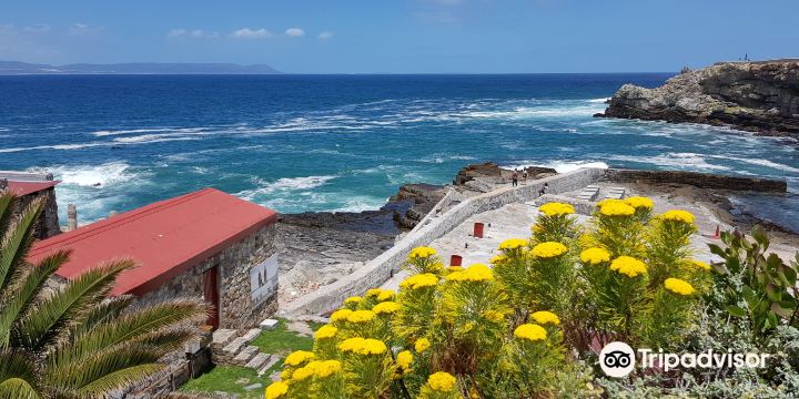 Cliff Path