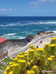 Cliff Path