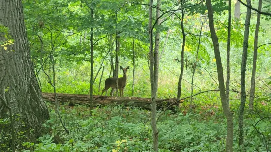 Ellwood H. May Environmental Park