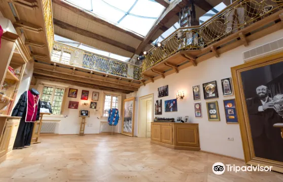 盧西亞諾-帕瓦羅蒂博物館門票成人