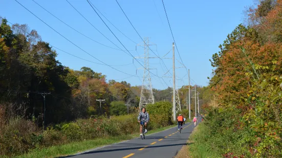 Washington And Old Dominion Railroad Regional Park