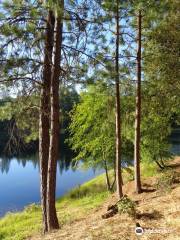 Lake Tabeaud Picnic Area