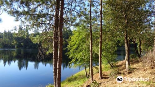 Lake Tabeaud Picnic Area