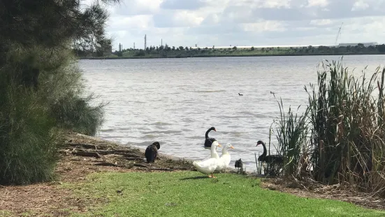 Cherry Lake Altona