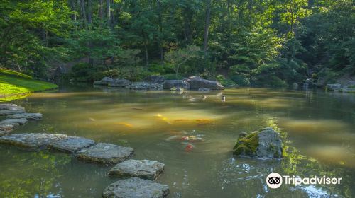 Garvan Woodland Gardens