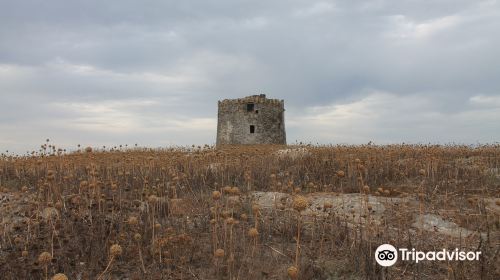 Torre della Pelosa