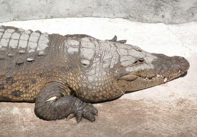 ロロ・プエブラ公園