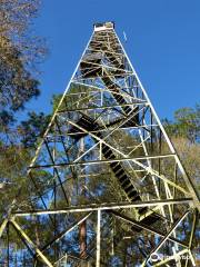 Florida Trail Richloam Fire Tower Trailhead
