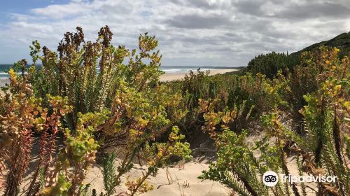 Venus Bay No. 4 Beach