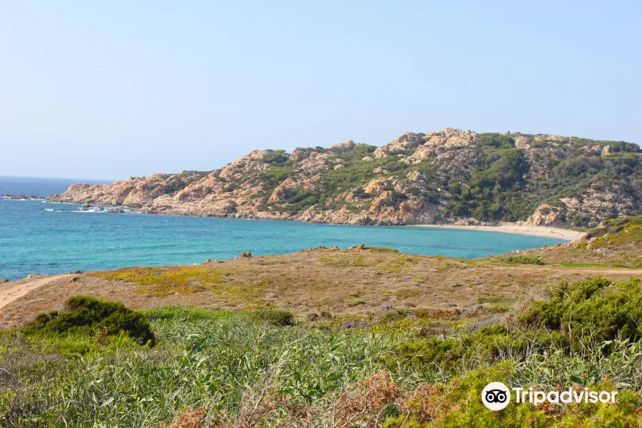 Spiaggia Lu Litarroni