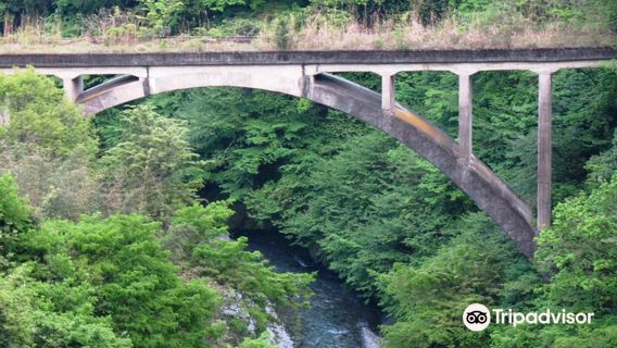 Hikawa International Trout Fishing Area